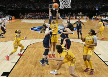 WNBA Star Caitlin Collins Stats: Performance and Key Numbers