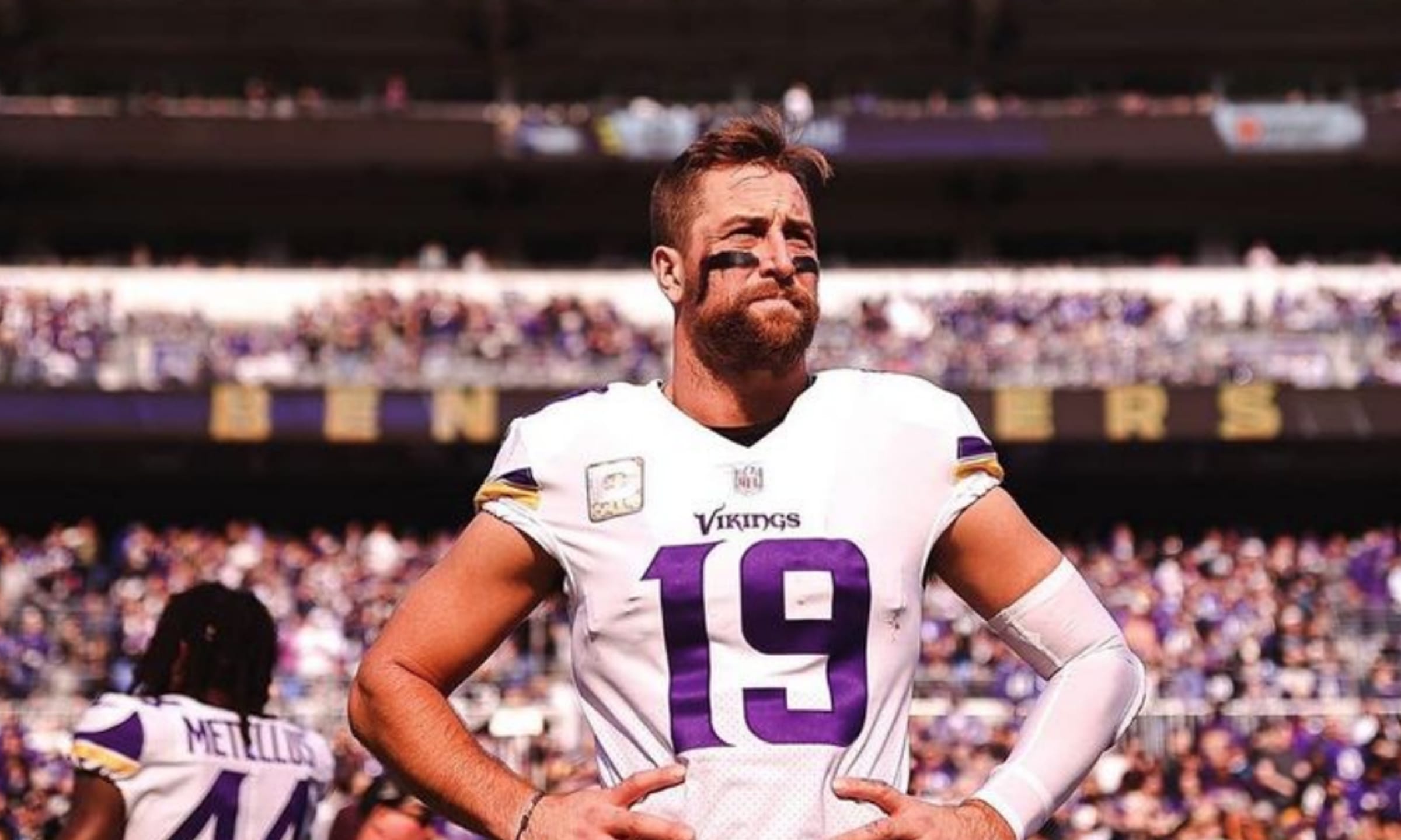 Best White WRS: Options for Every Budget