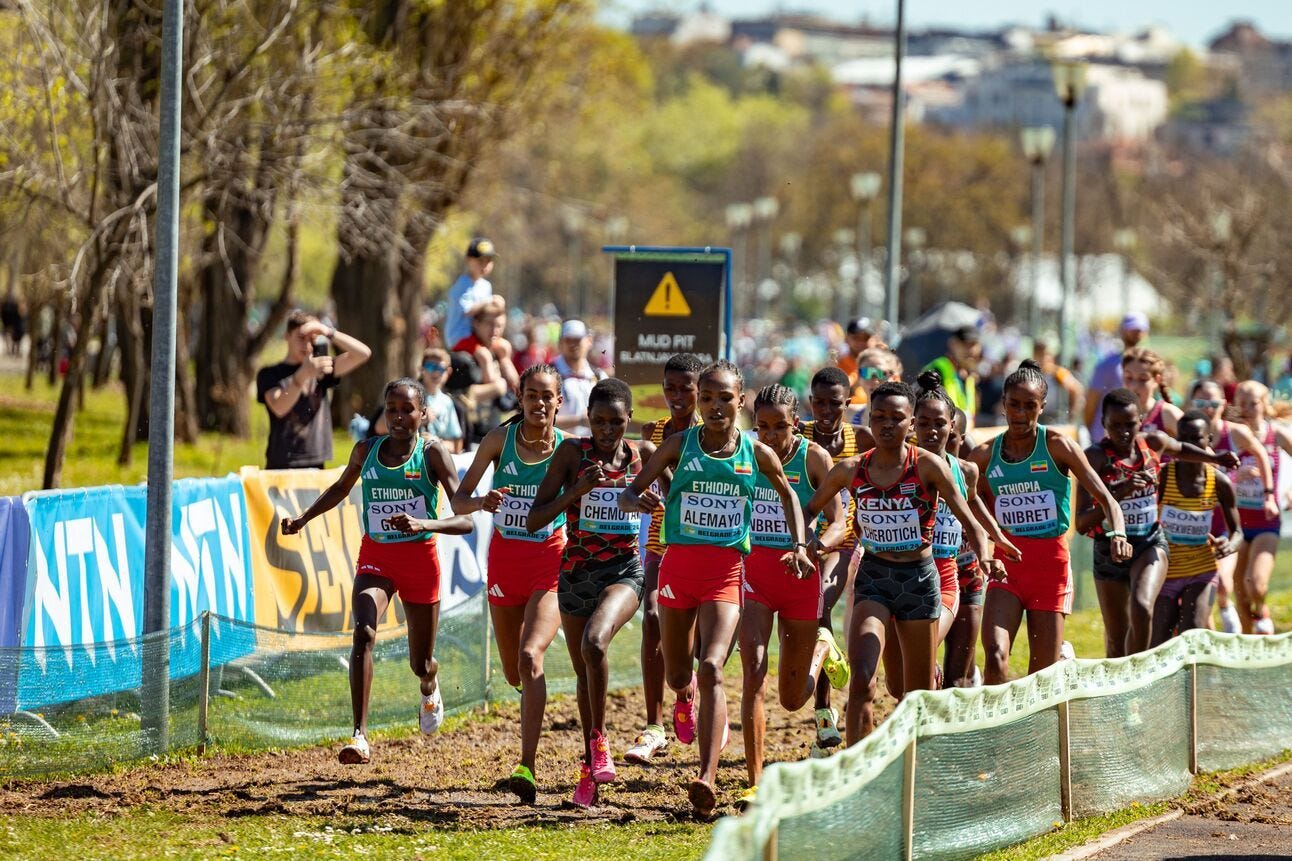 Can Watching Formula 1 Lead to Cross Country Running? Tips for Making the Leap