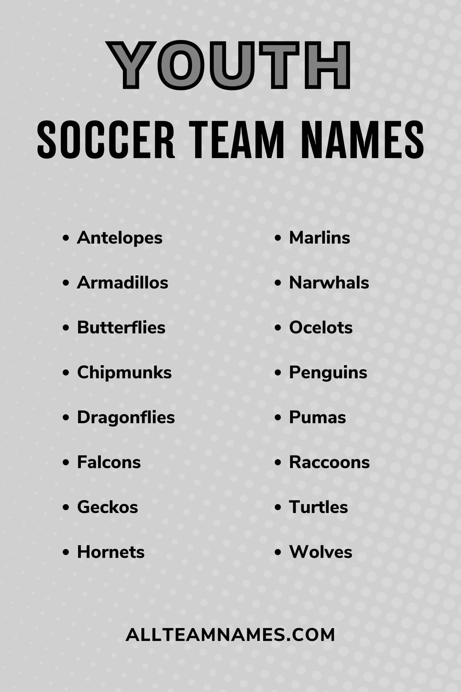 Best Common Soccer Team Names for Your Squad!