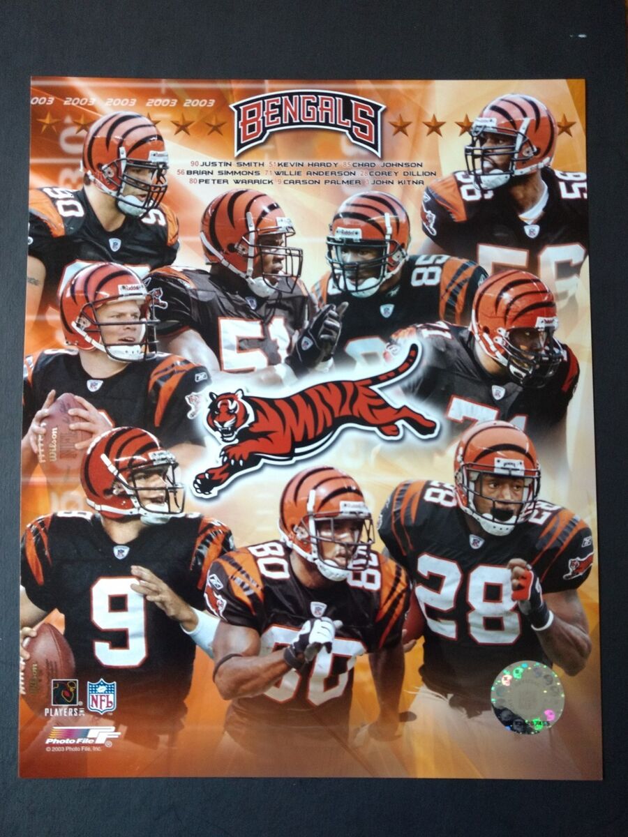 2003 Bengals Team: A Deep Dive into the Cincinnati Bengals Roster.