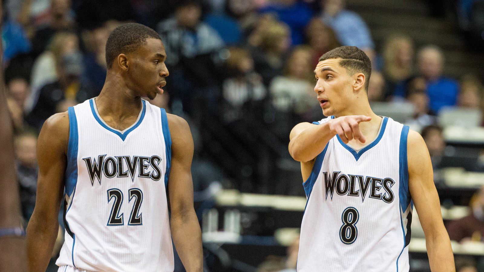 Full 2015 Minnesota Timberwolves roster: Check out that years lineup!