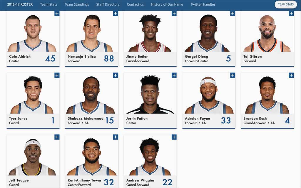 Full 2015 Minnesota Timberwolves roster: Check out that years lineup!